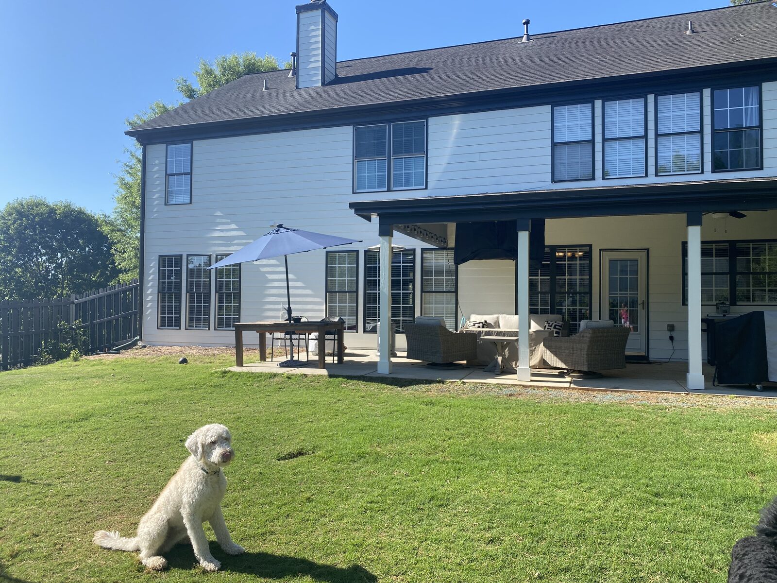 Rear elevation and porch repaint — A1 Lime Painting & Metal Door project